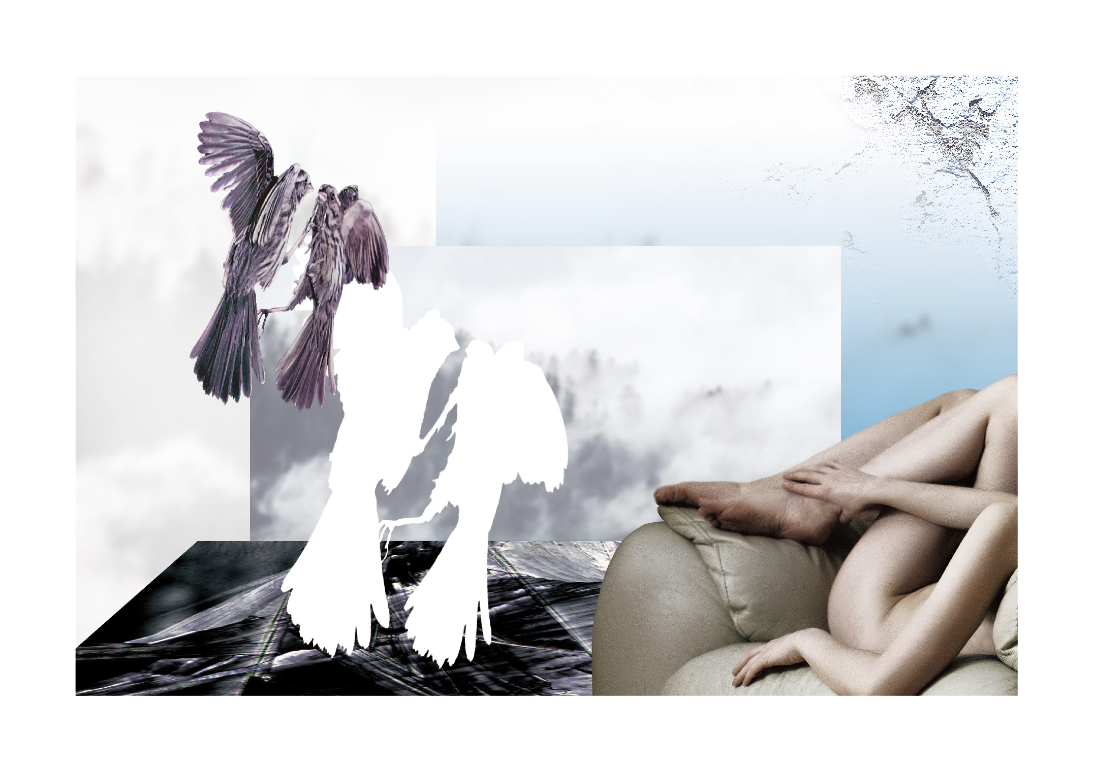 作品タイトル名